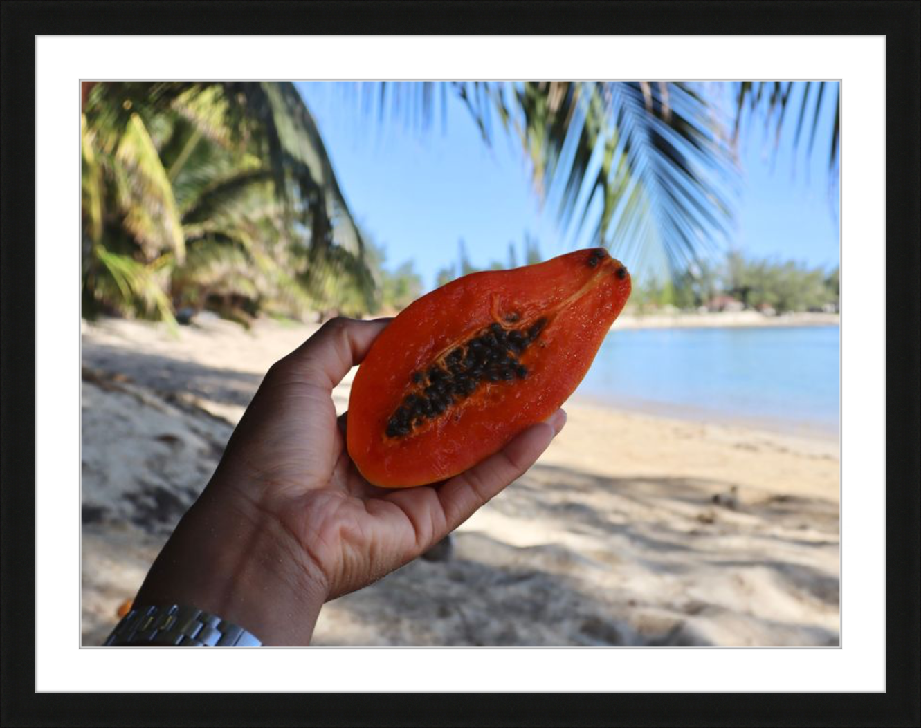 Tropical Papaya - High Quality Photography Print (Frame Included)